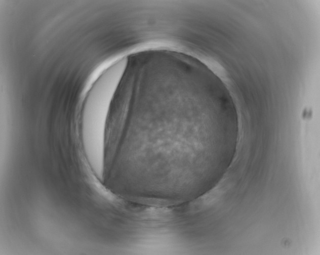 X0000091500912200709061920