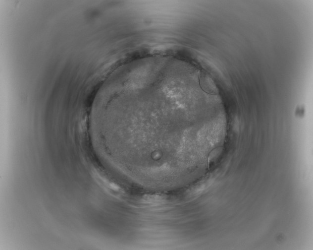 X0000091500914200709061919