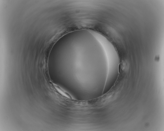 X0000091500915200709061919