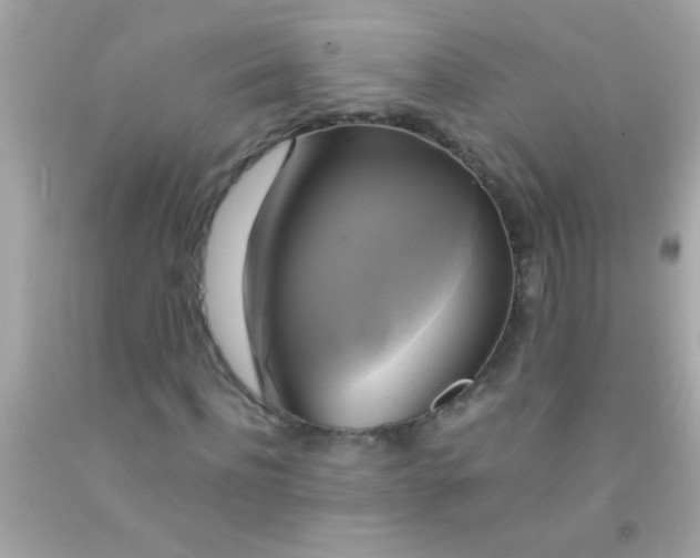 X0000091500916200709061919