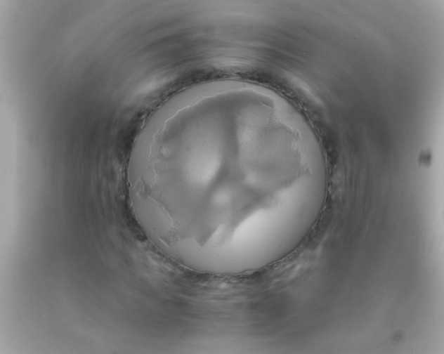 X0000091500917200709061919