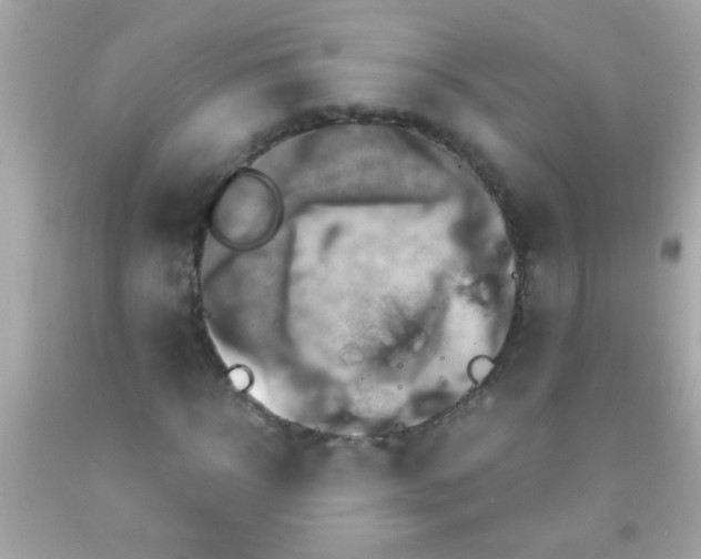 X0000091500918200709061919