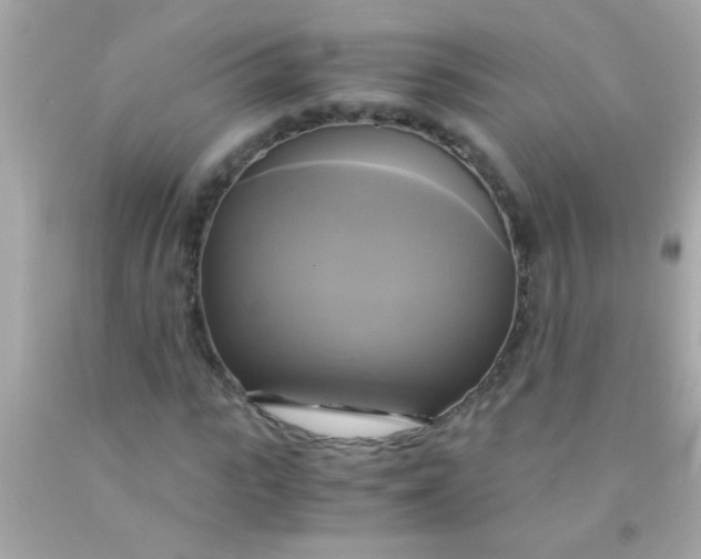 X0000091500919200709061919