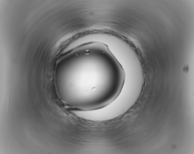 X0000091500920200709061919