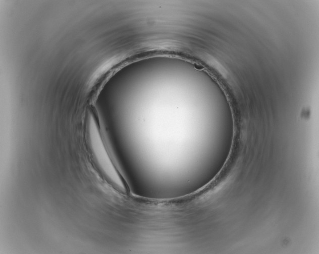 X0000091500922200709061919