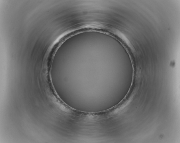 X0000091500923200709061919