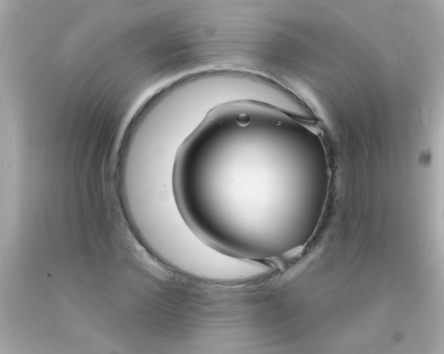 X0000091500924200709061919