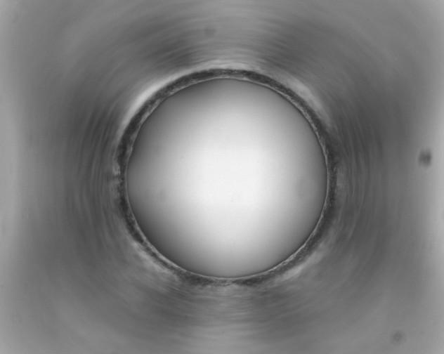 X0000091500926200709061919