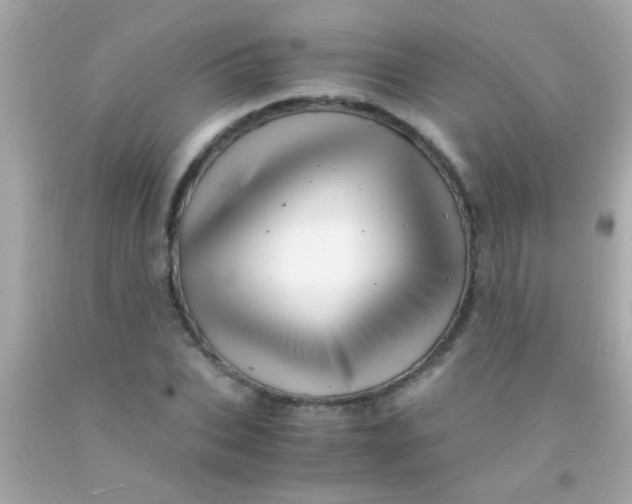 X0000091500927200709061919