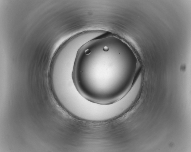 X0000091500928200709061919