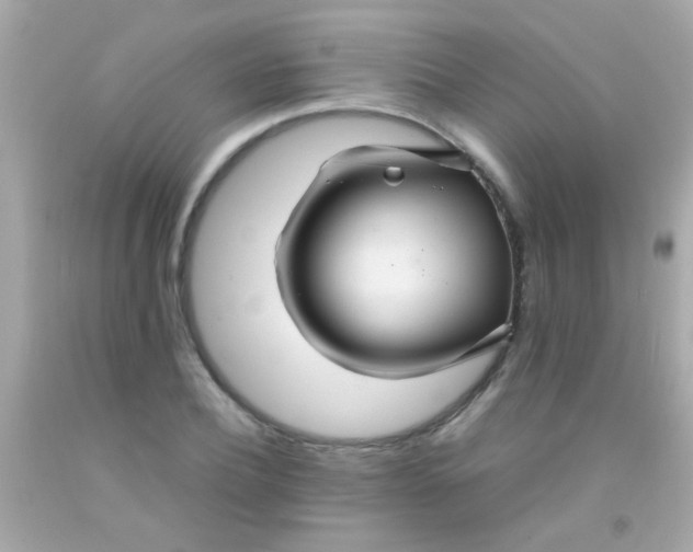 X0000091500932200709061919