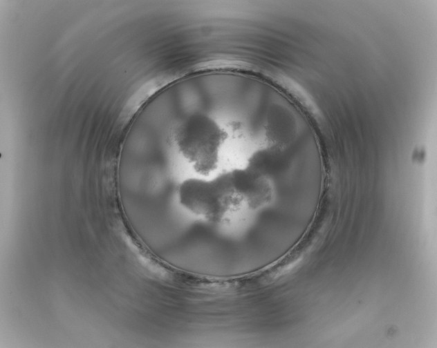 X0000091500937200709061919