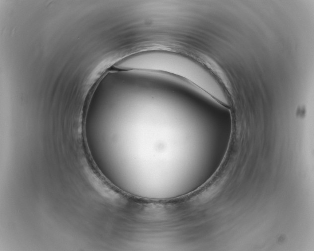 X0000091500938200709061919