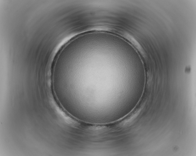 X0000091500939200709061919