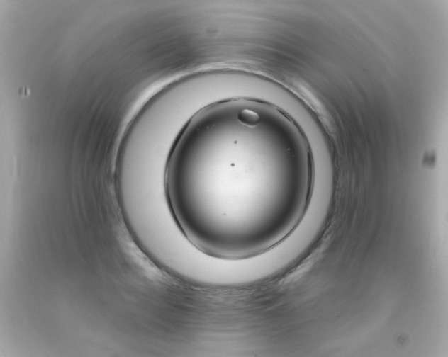 X0000091500940200709061919