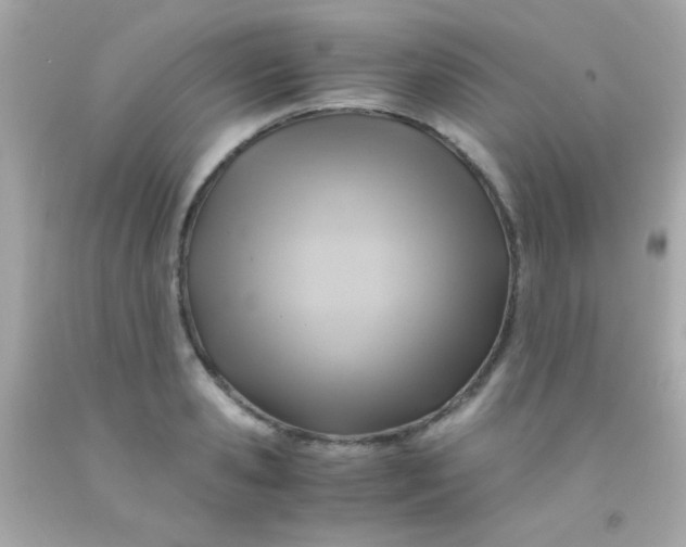 X0000091500941200709061919