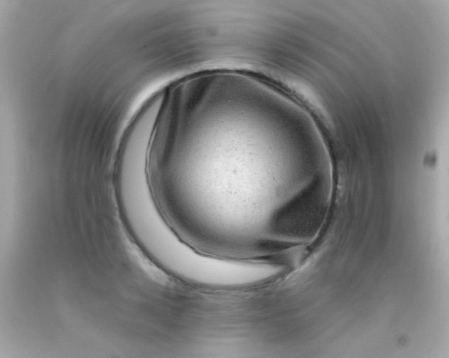 X0000091500942200709061919