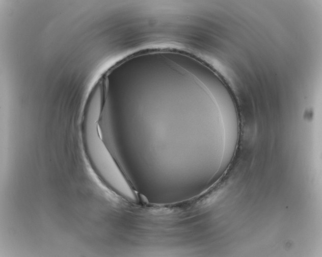 X0000091500943200709061919