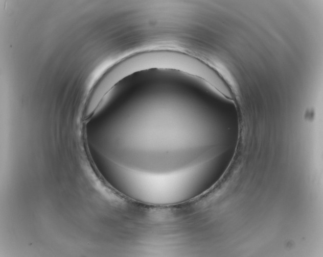 X0000091500944200709061919