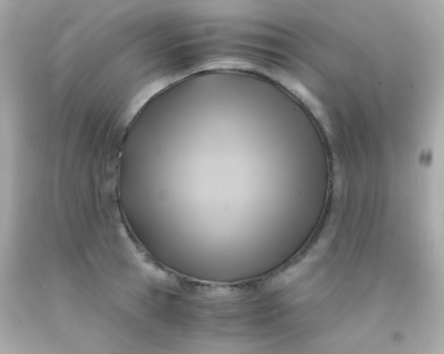 X0000091500945200709061919