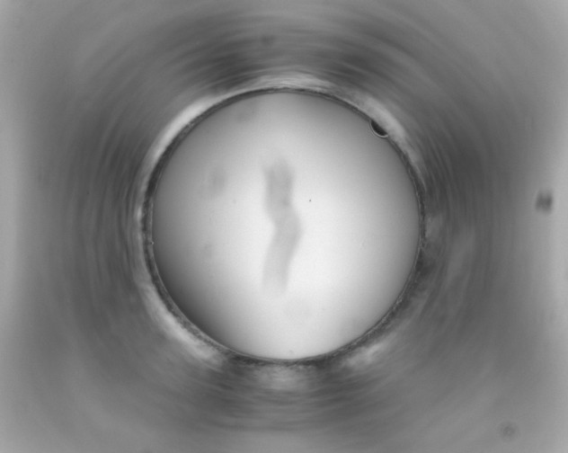 X0000091500947200709061919