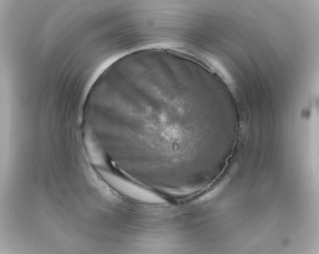 X0000091500948200709061920