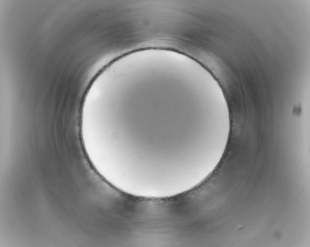 X0000091500950200709061920