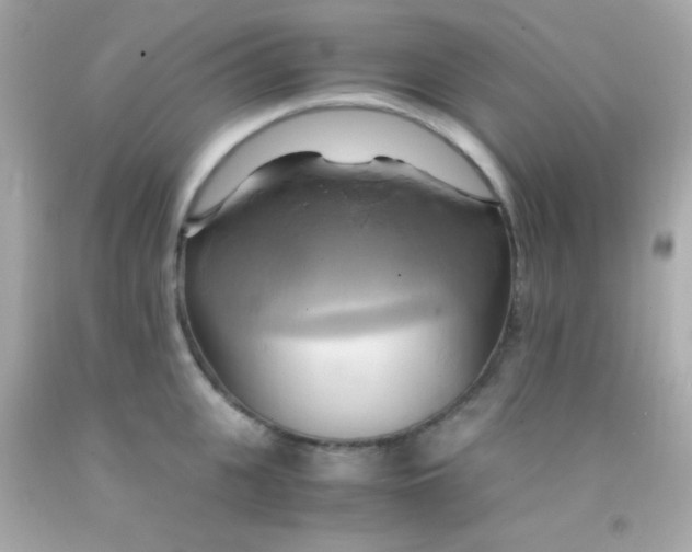 X0000091500951200709061920