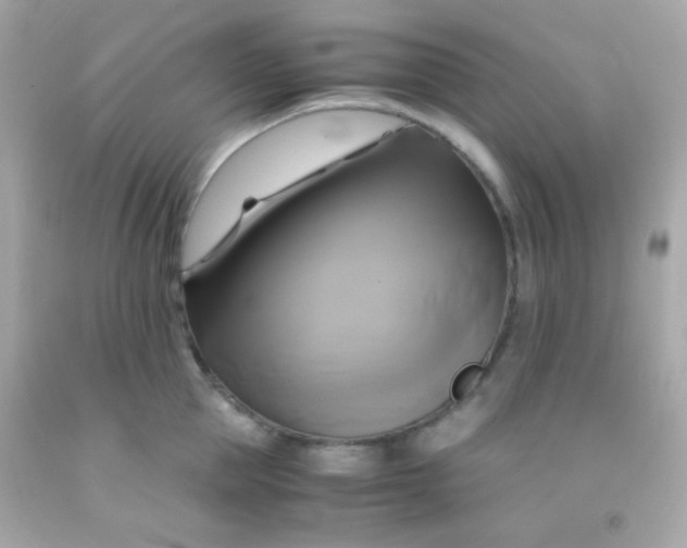 X0000091500953200709061920