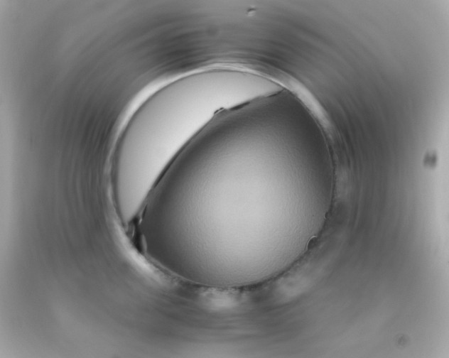 X0000091500955200709061920