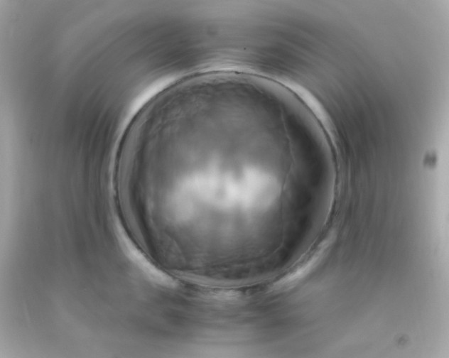 X0000091500957200709061920