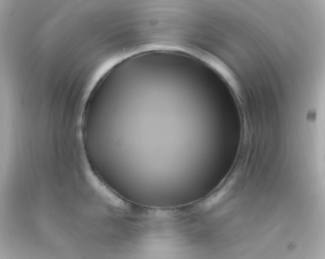 X0000091500958200709061920