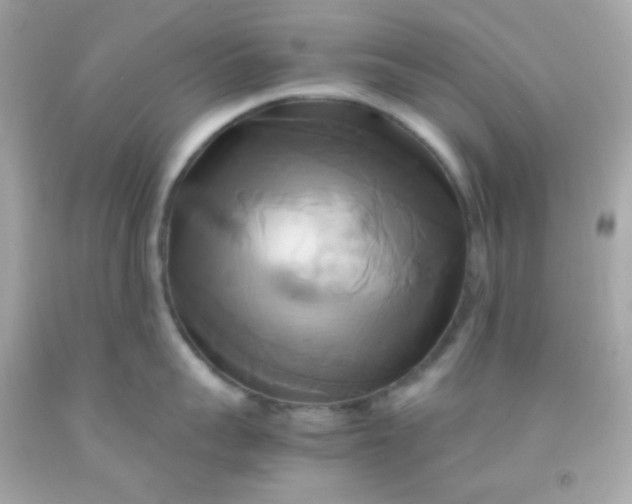 X0000091500959200709061920