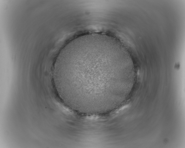 X0000091500961200709061919