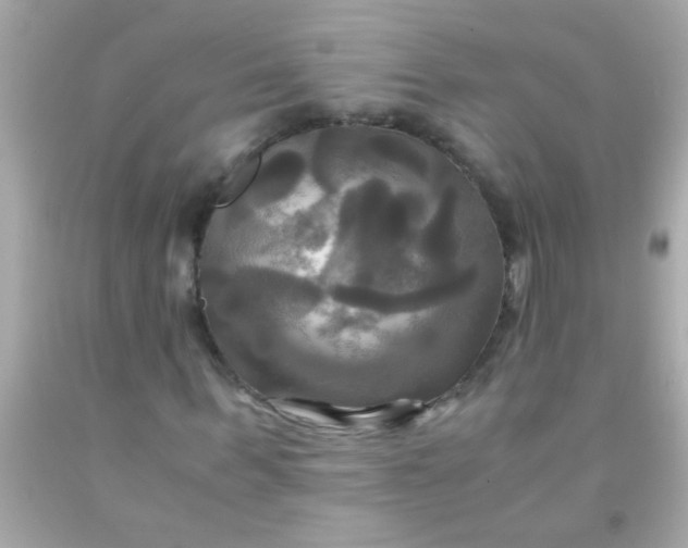 X0000091500963200709061919