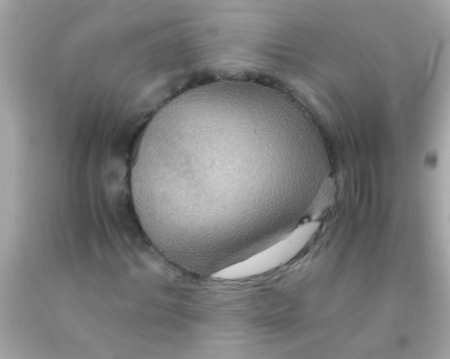 X0000091500964200709061919