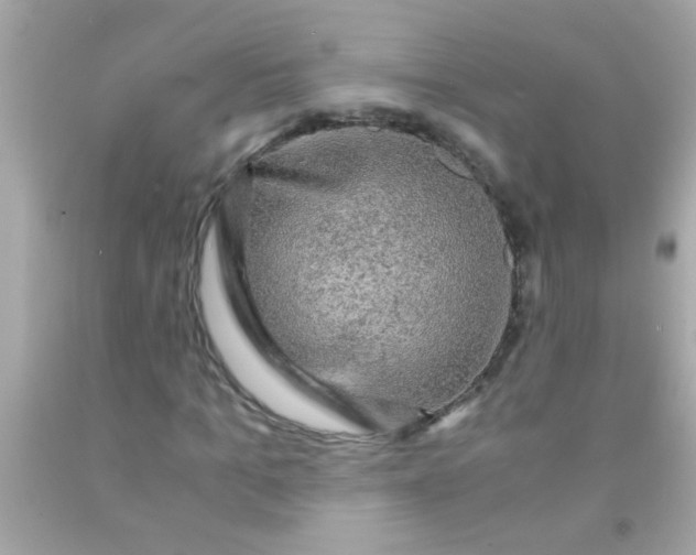 X0000091500965200709061919