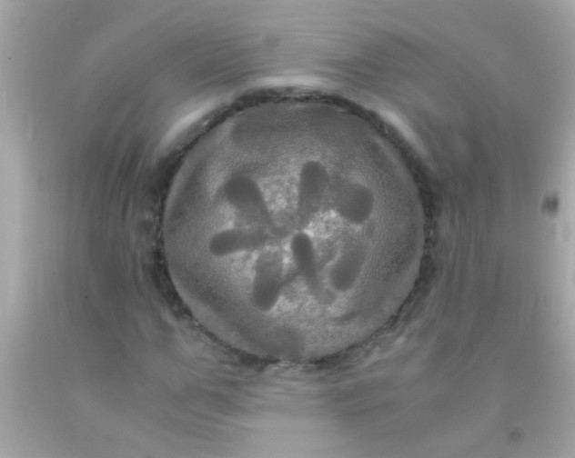 X0000091500967200709061919