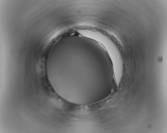 X0000091500968200709061919