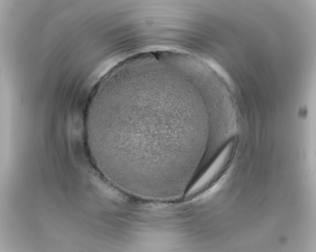 X0000091500969200709061919