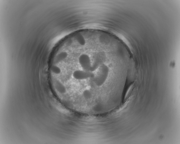 X0000091500971200709061919