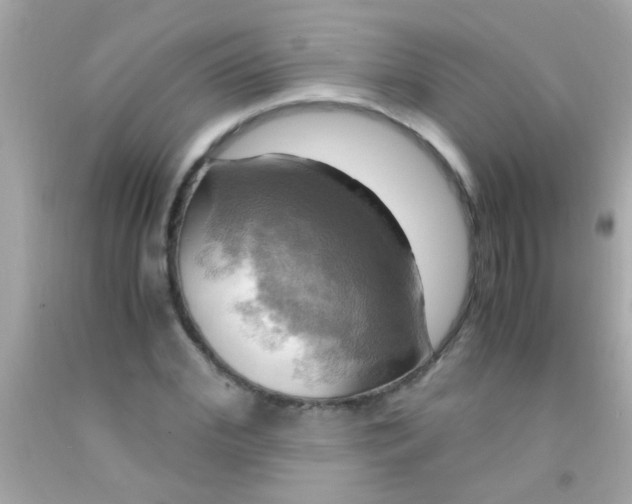 X0000091500972200709061919