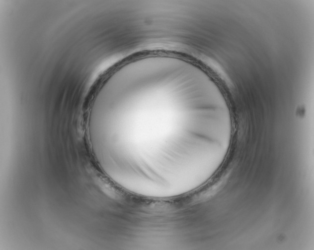 X0000091500974200709061919