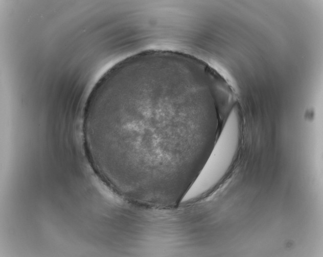 X0000091500976200709061919