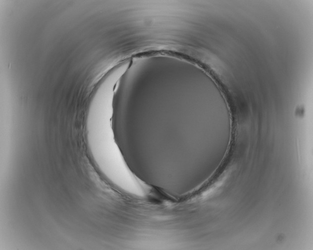 X0000091500977200709061919