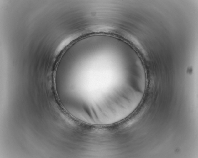 X0000091500978200709061919