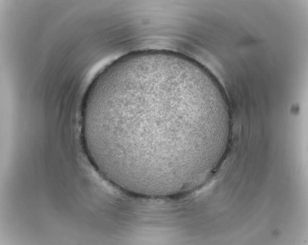 X0000091500979200709061919