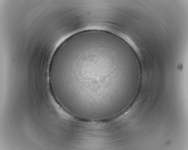 X0000091500980200709061919