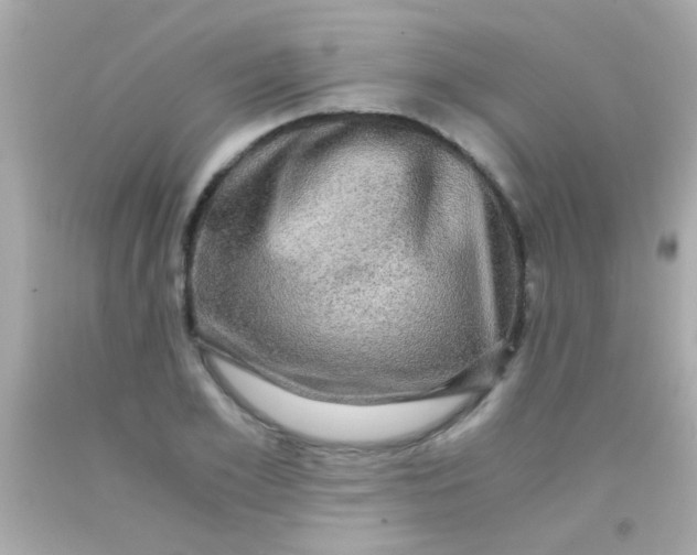 X0000091500981200709061919