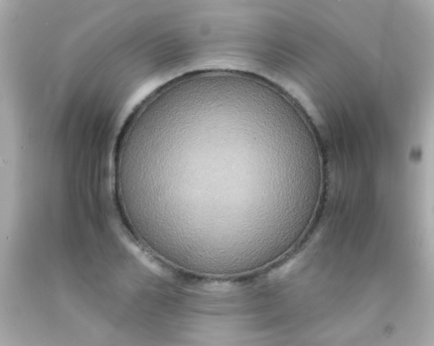 X0000091500982200709061919